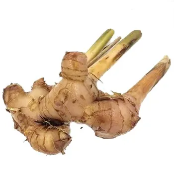 Organic Ginger